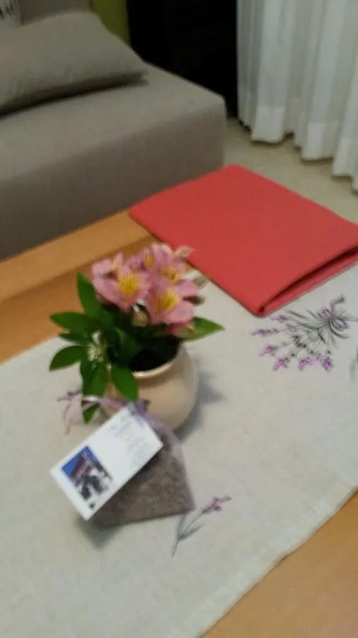 Apartments Soric Rovinj